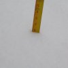 more snow damage pics 001